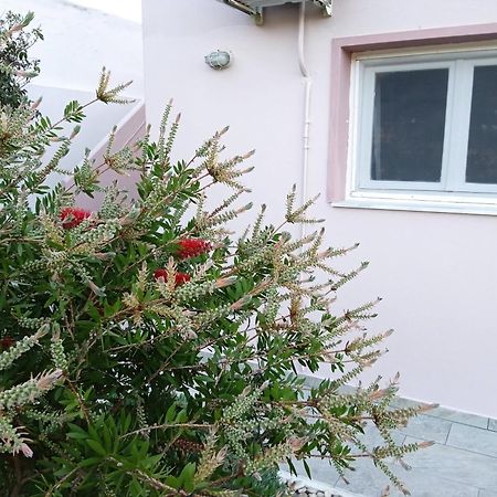 Andros Lighthouse Apartments Mesaria  Bagian luar foto