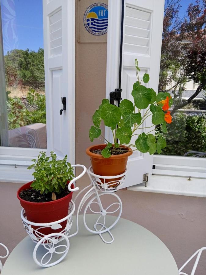 Andros Lighthouse Apartments Mesaria  Bagian luar foto