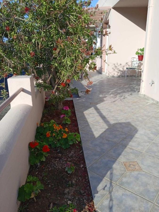 Andros Lighthouse Apartments Mesaria  Bagian luar foto