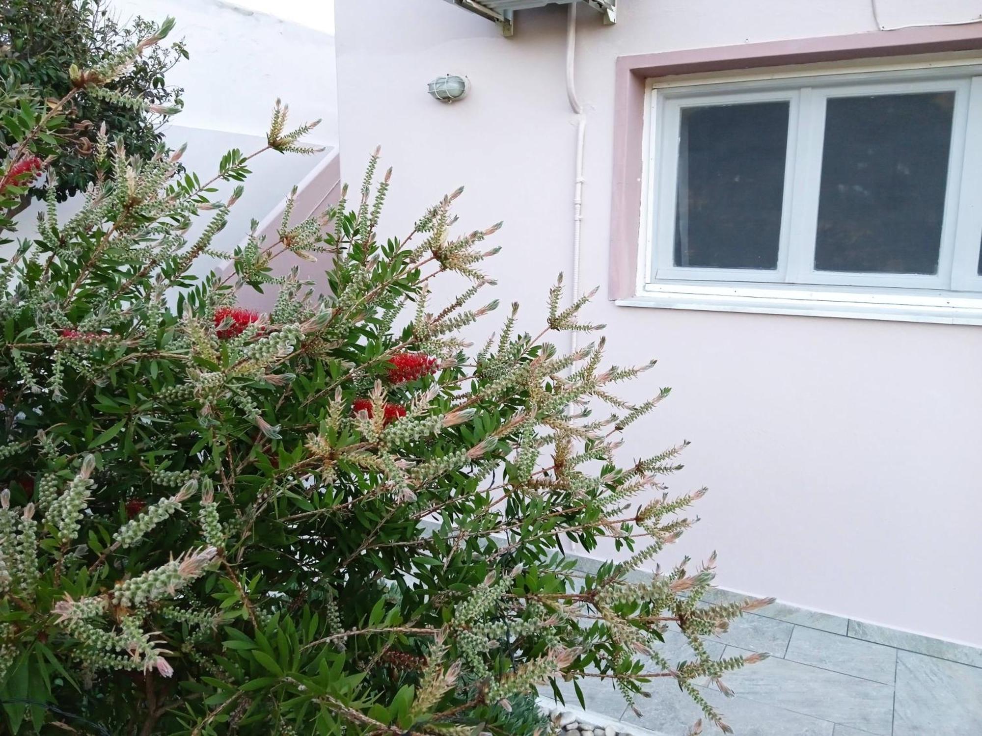 Andros Lighthouse Apartments Mesaria  Bagian luar foto